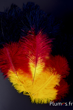 Autruche - 30-40 cm - jaune-rouge-noir